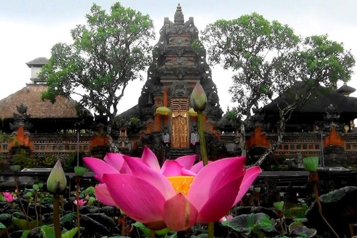 lotus pond palace ubud