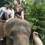 bali elephant ride