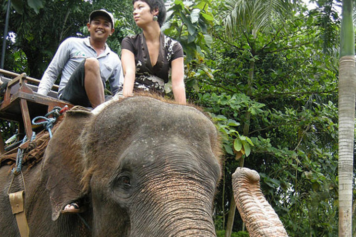 bali elephant ride