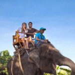 bali back elephant ride