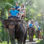 bali back elephant ride