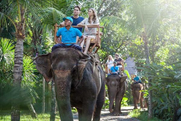 bali back elephant ride