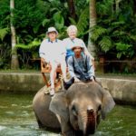 bakas elephant ride