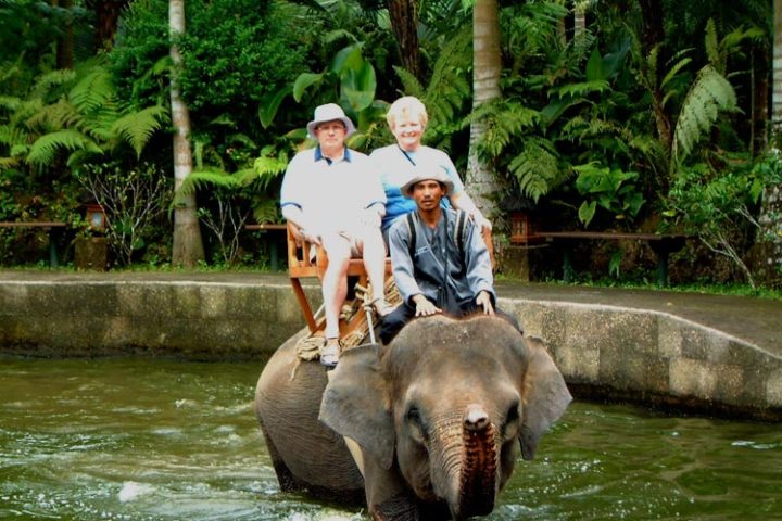 bali elephant ride tour