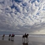 bali horse riding