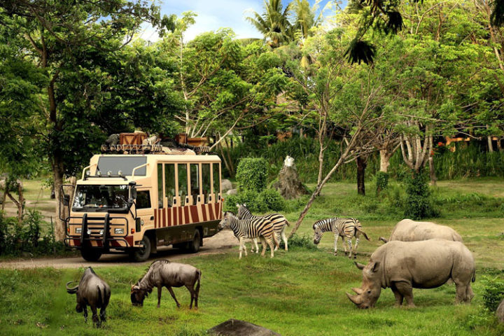 bali safari and marine park tour