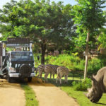 bali safari and marine park tour