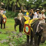 elephant back safari