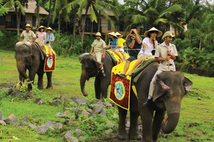 elephant back safari