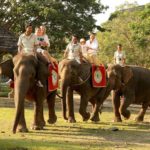 elephant back safari