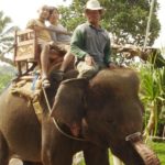 elephant ride tour bali