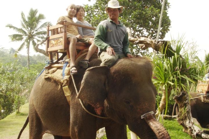 elephant ride tour bali