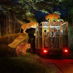 bali safari and marine park nigh safar
