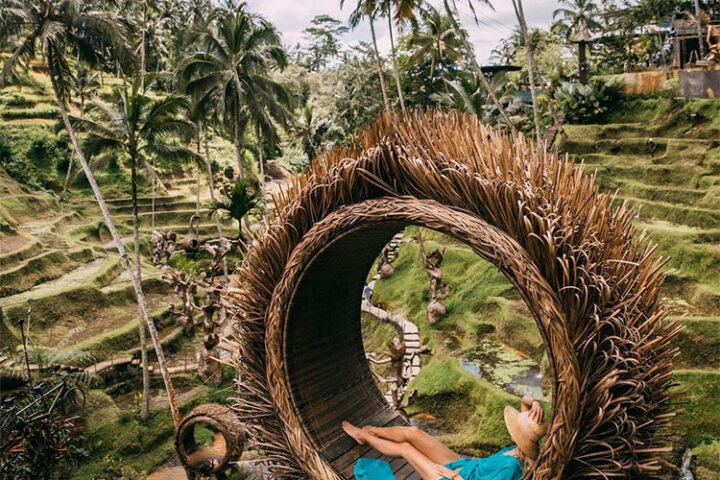 ubud tour