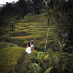 ubud tour