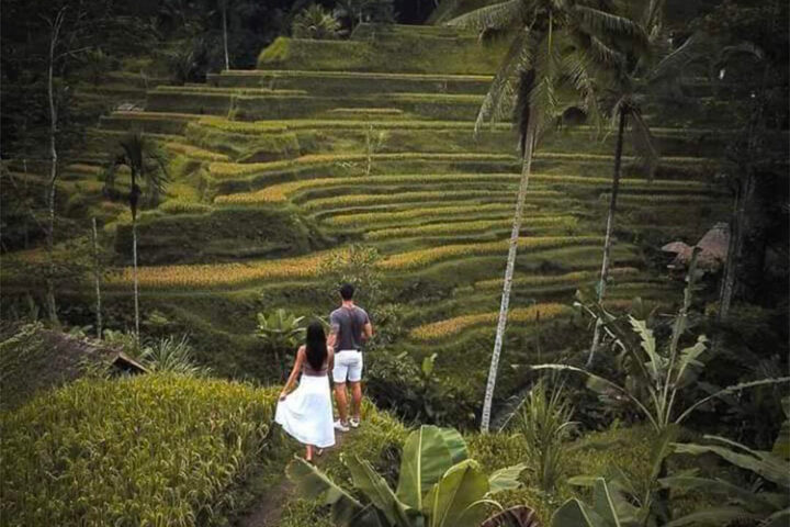 ubud tour